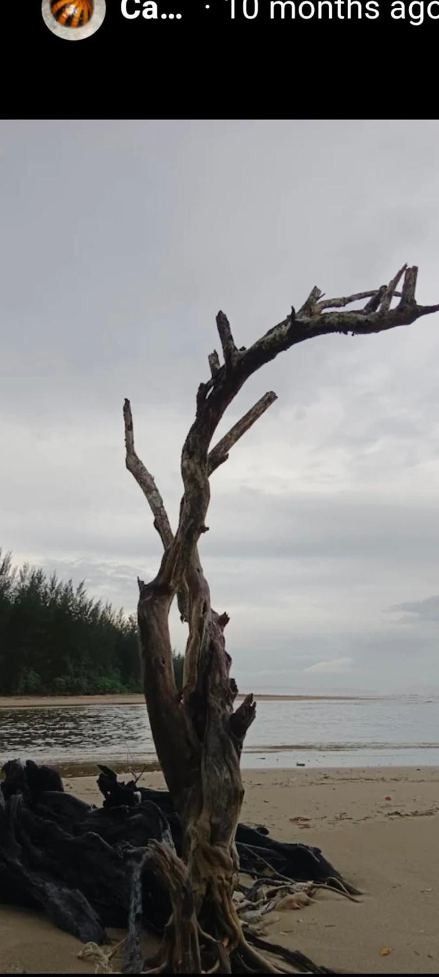 הוילה Sematan The Mangrove מראה חיצוני תמונה
