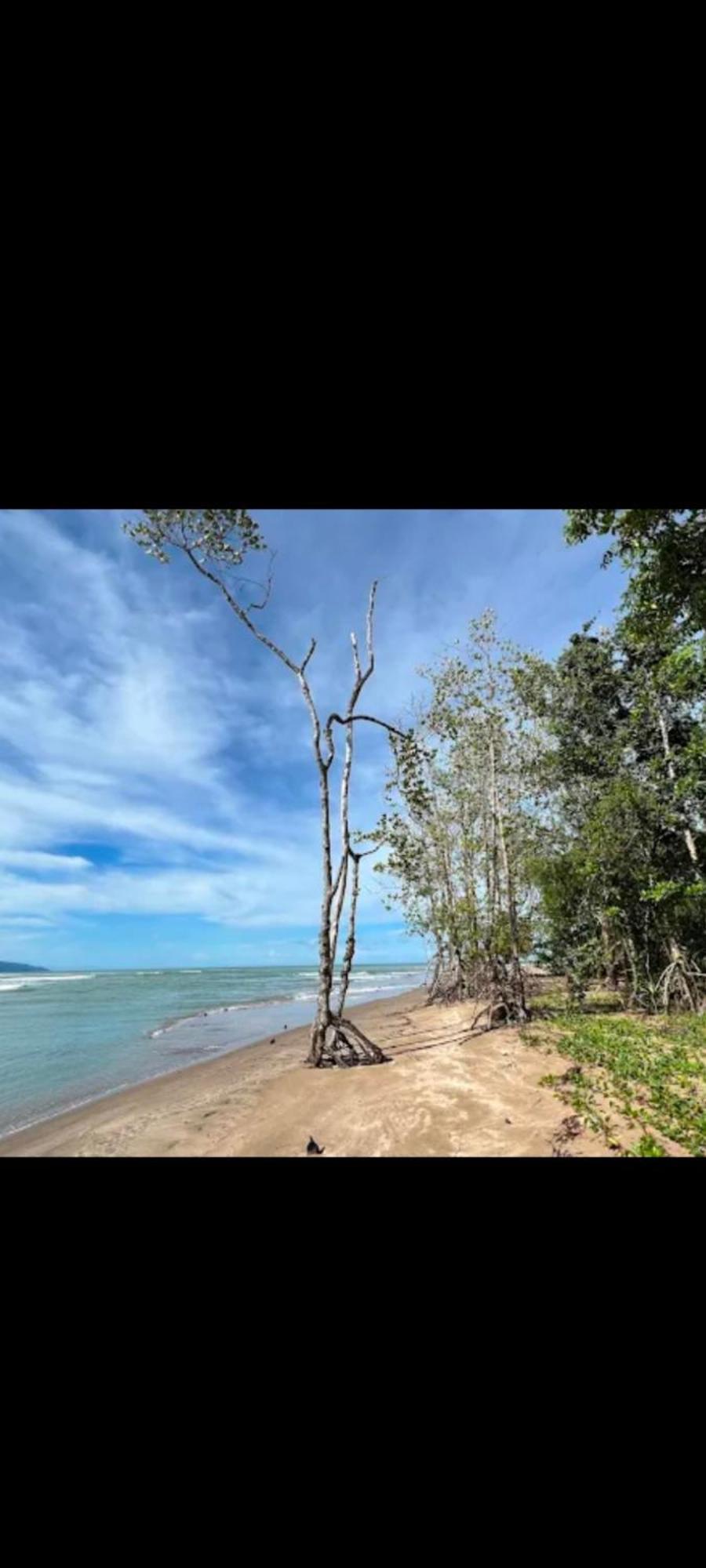 הוילה Sematan The Mangrove מראה חיצוני תמונה